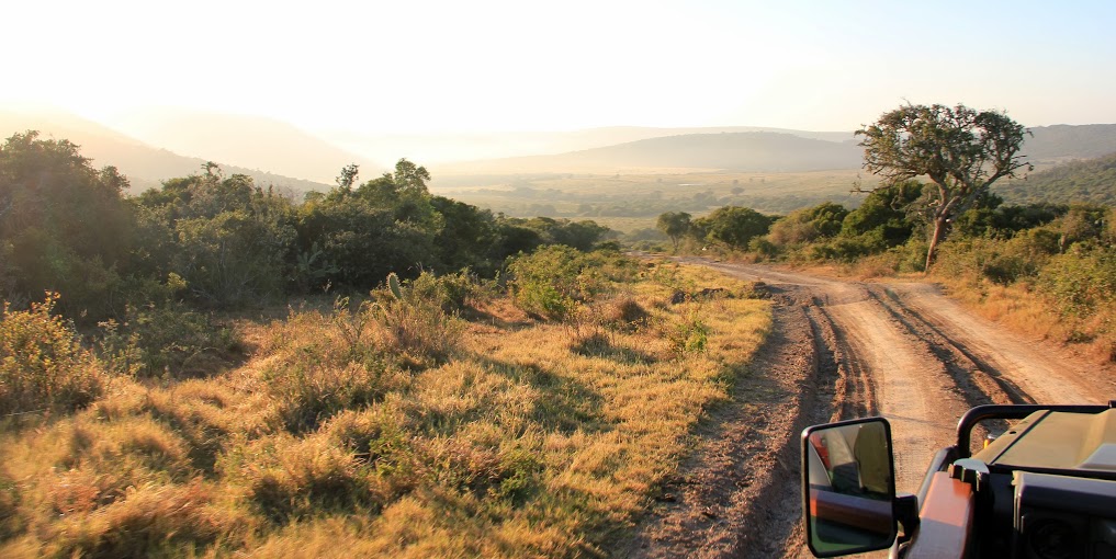 Kariega Game Reserve Eastern Cape safari wildlife K Cetkowska (13).jpg Kariega Game Reserve Eastern Cape safari wildlife K Cetkowska (13).jpg