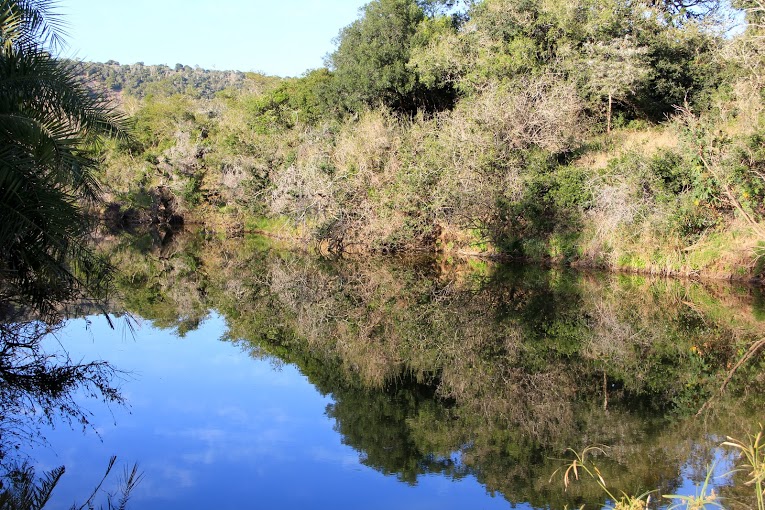 Kariega Game Reserve Eastern Cape safari wildlife K Cetkowska (29).jpg Kariega Game Reserve Eastern Cape safari wildlife K Cetkowska (29).jpg