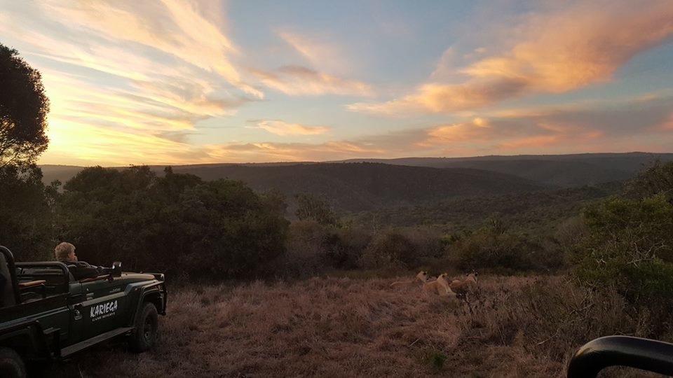 kariega-honeymoon-NicolaMcNally.jpg kariega-honeymoon-NicolaMcNally.jpg