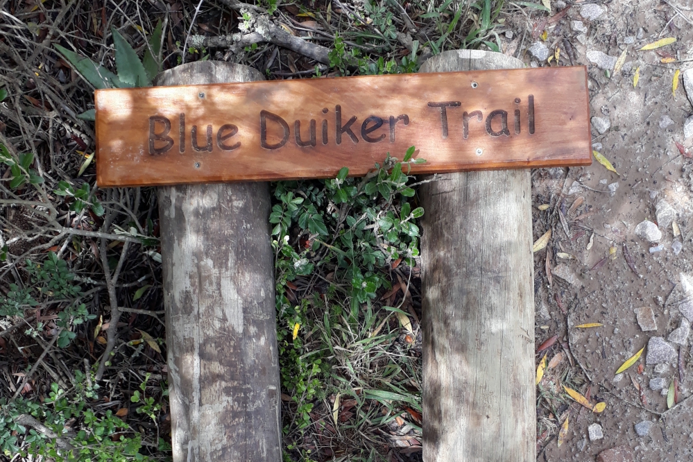 Kariega-Blue-Duiker-Hiking-Trail-Sign.jpg