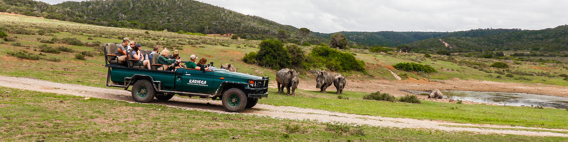 Rhino viewing banner.jpg