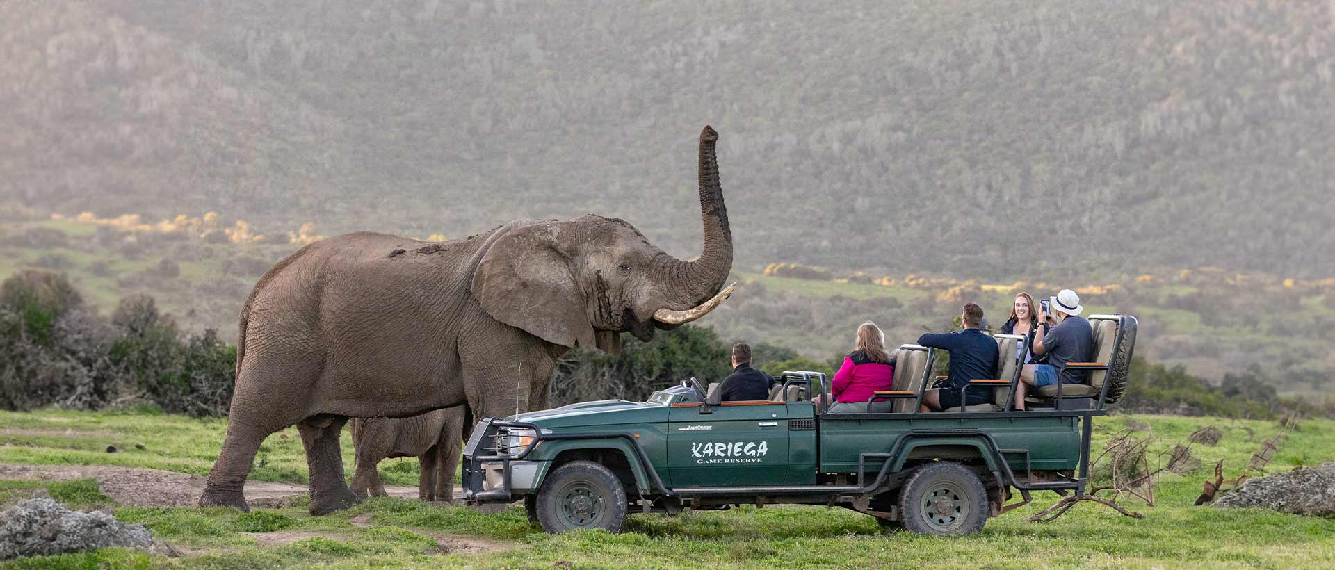 Elephant And Game Viewer