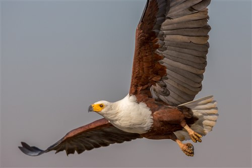 GAW029_1752045323738 GAW029_1752045323738