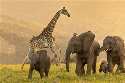 GAW010_1752046576671 GAW010_1752046576671