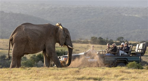 GAW006_1752046576665 GAW006_1752046576665