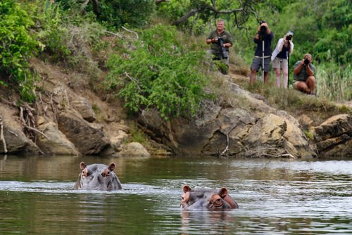 GAW016_1752046576681 GAW016_1752046576681