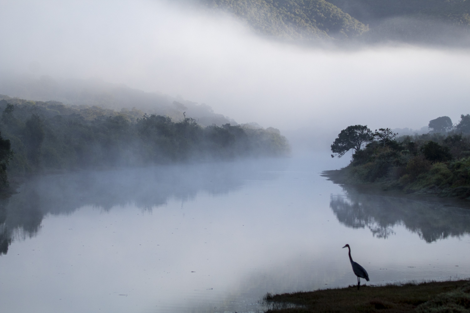 Audience Favorite Winner - Facebook Photo Comp 2025 - Kariega guest Eléa Yanghil