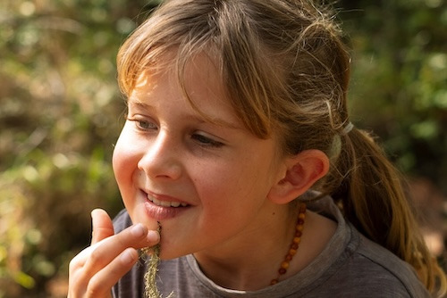 Learning about plants