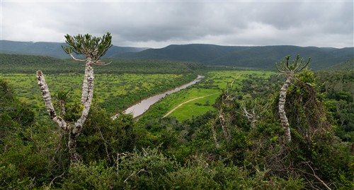 Aerial view of Bushmans River Valley